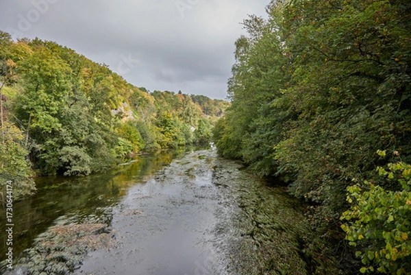 Fototapeta view on Moehne river at late summer time in Ense, Germany