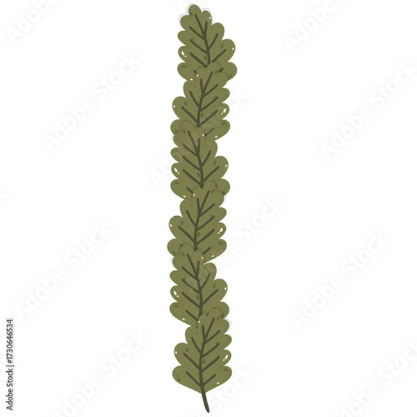 Obraz green oak border leaf, autumn element