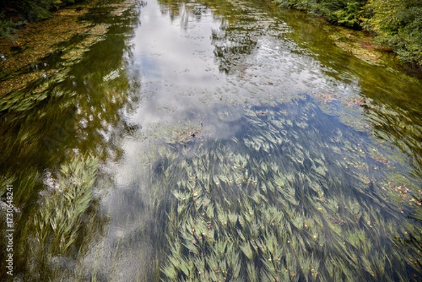 Fototapeta view on Moehne river at late summer time in Ense, Germany