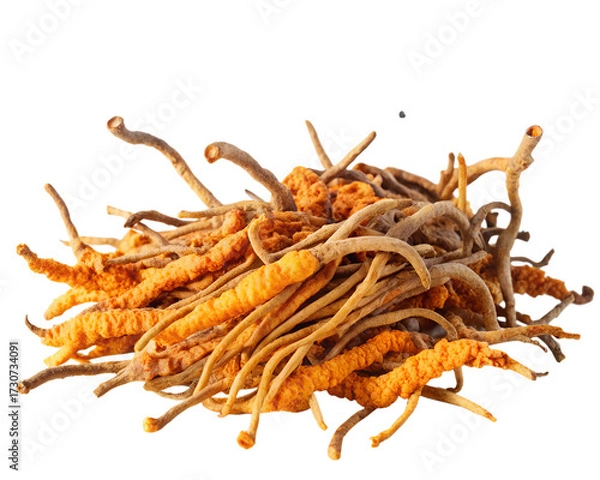 Fototapeta A pile of dried cordyceps mushrooms, also known as caterpillar fungus, isolated on a transparent background