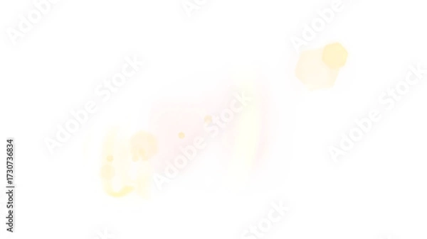 Fototapeta Radiant Lens Flare Glow Bright Light Rays and Shining Effect Overlay