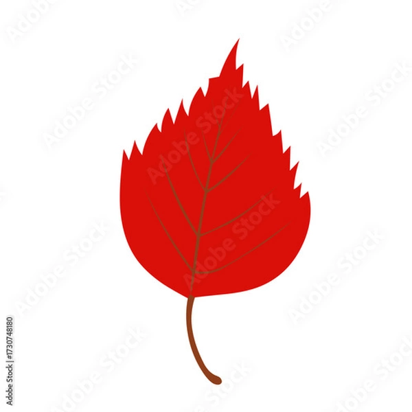 Obraz Red autumn leaf isolated on white background with simple seasonal foliage illustration design element