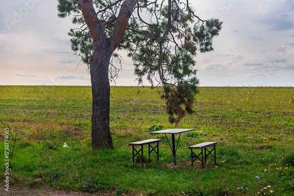 Obraz picnic table in the garden