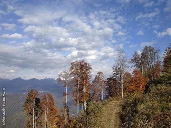 Fototapeta Autumn landscape with colorful trees and mountains under blue sky  
