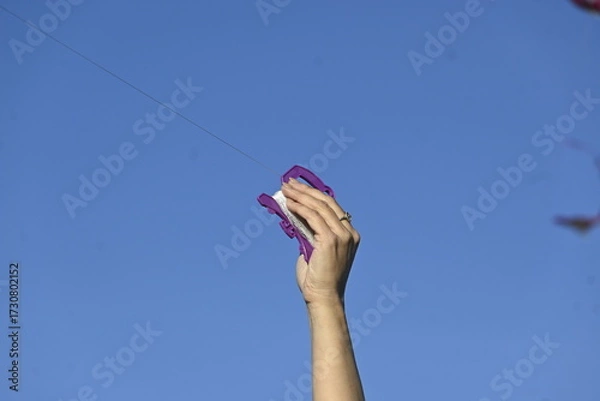 Obraz Drachenfest auf dem Tempelhofer Feld