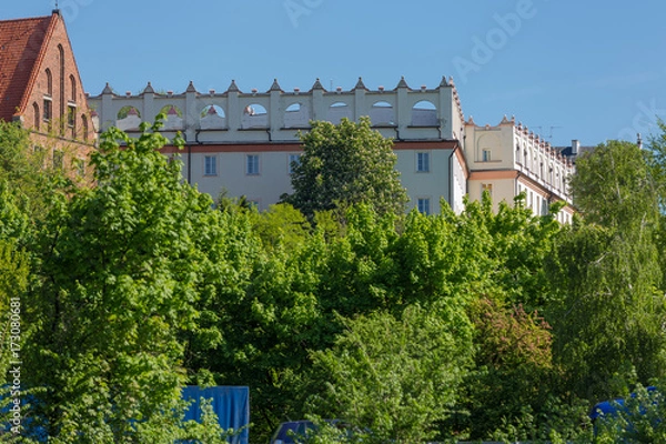 Obraz Collegium Gostomianum