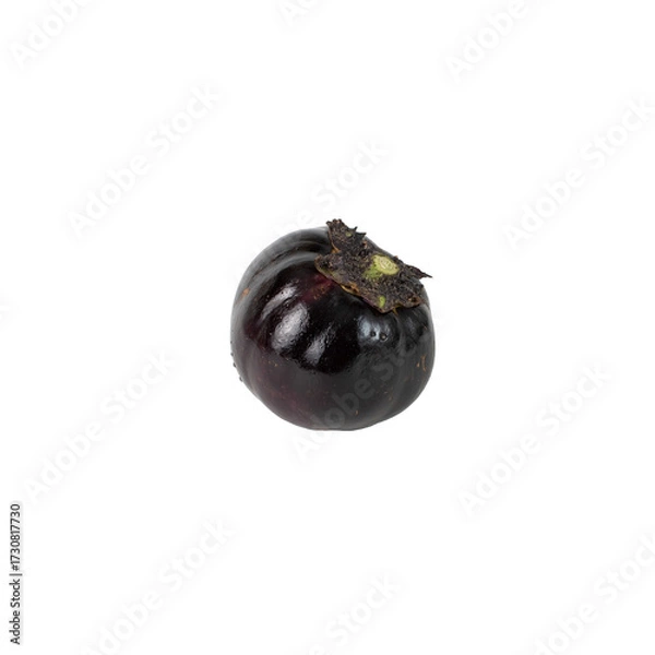 Obraz Round eggplant on an isolated background