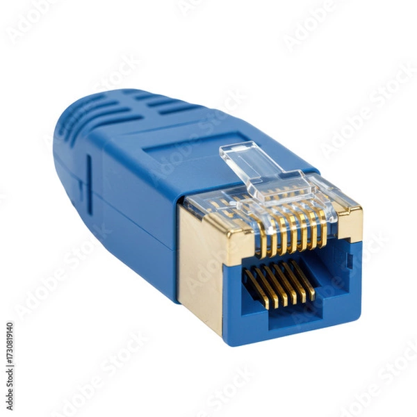Obraz Blue RJ45 network connector used in data communication isolated PNG with Transparent Background