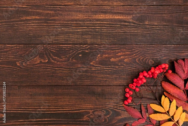 Fototapeta Autumn simple background with a fallen colorful rowan leaves and red berries on wooden background with place for text
