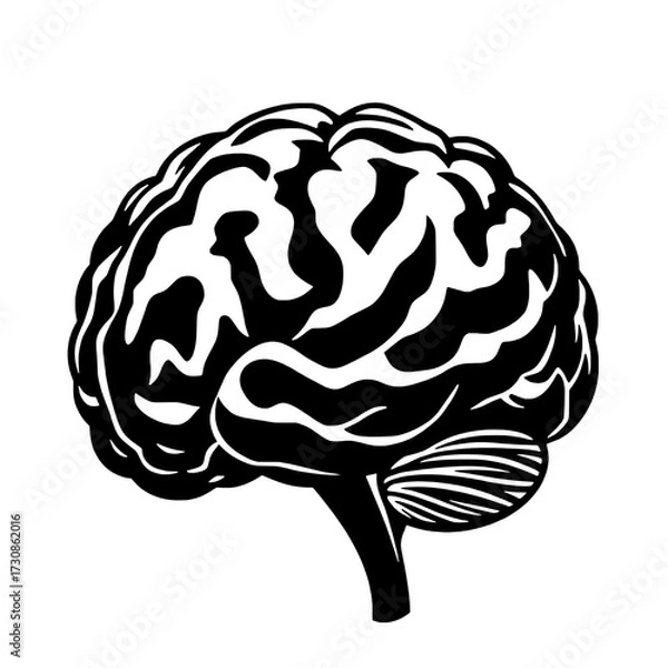Fototapeta Minimalist Black and White Human Brain Icon: Flat Solid Silhouette with Detailed Gyri, Sulci, and Cerebellum Created by Negative Space, Presented in Side Profile on a Pure White Background.