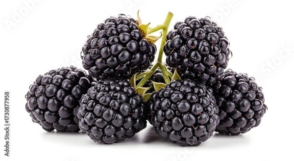 Obraz Flying cluster of blackberries with dewdrops,