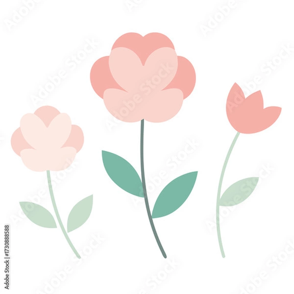 Obraz Create a set of delicate, minimalist flower illustrations in soft colors with a white background.