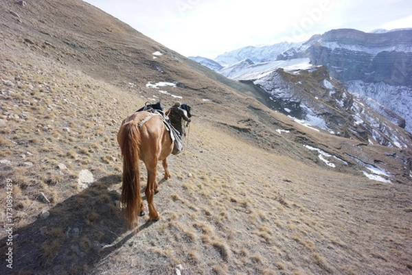 Obraz Horses Walking in the Caucasus Mountains