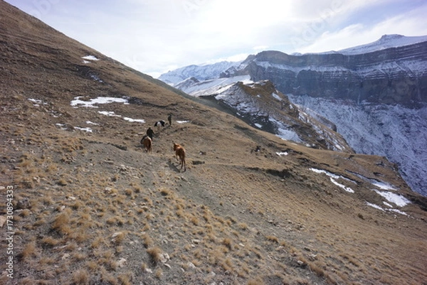 Obraz Horses Walking in the Caucasus Mountains