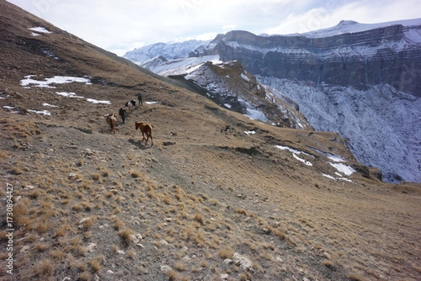 Obraz Horses Walking in the Caucasus Mountains