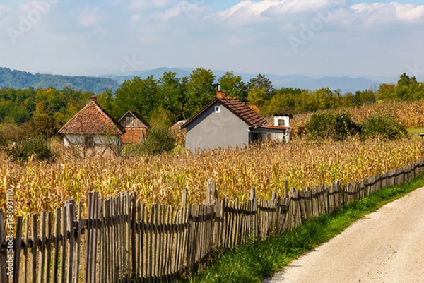 Fototapeta Cornfield and rural houses in the mountainous part of the Balkans