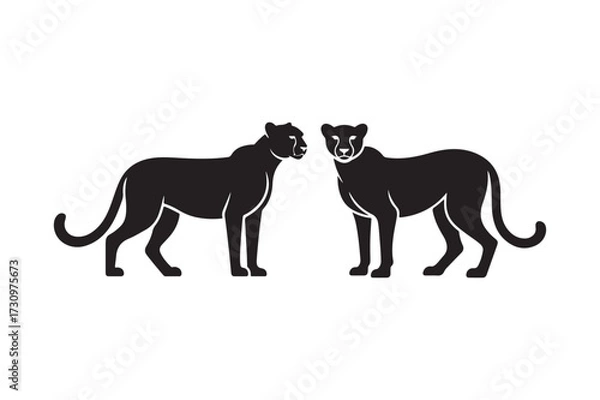 Obraz Two silhouetted black panthers facing each other