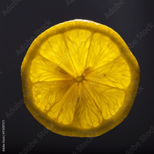 Obraz Lemon