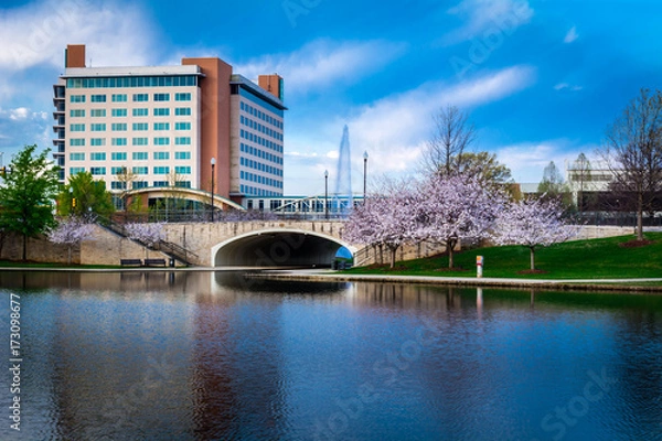 Obraz Big Spring Park