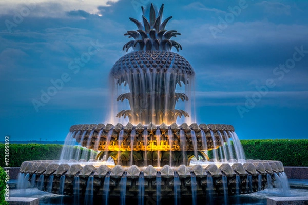 Obraz Pineapple Fountain