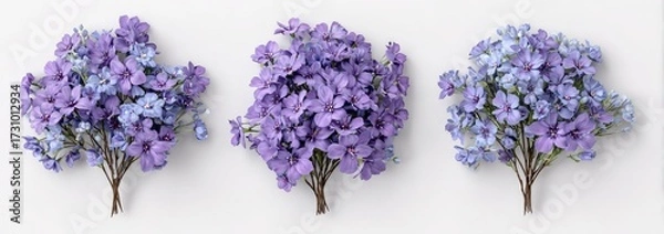 Obraz Three bouquets of light purple flowers on a white background
