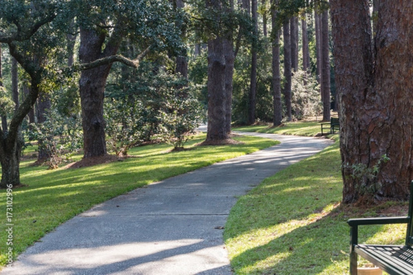 Fototapeta Pathway through Gardens