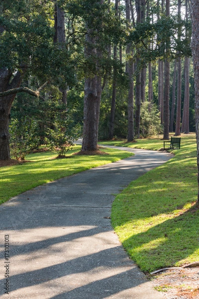 Fototapeta Pathway through Gardens