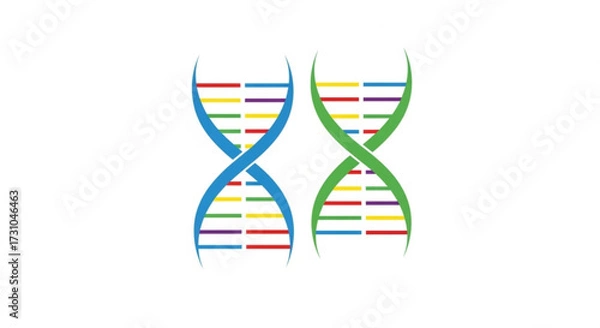 Fototapeta Illustration of two dna double helix structures with colorful segments on a white background design element