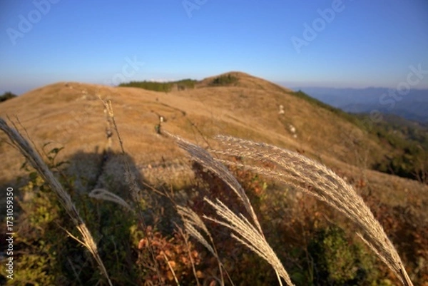 Obraz 秋の生石高原と青空のハイキング