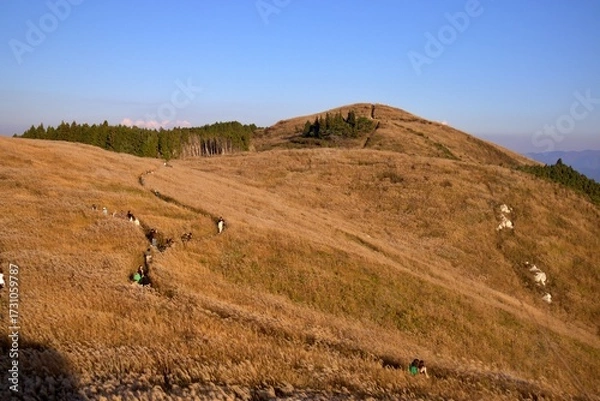 Obraz 秋の生石高原と青空のハイキング