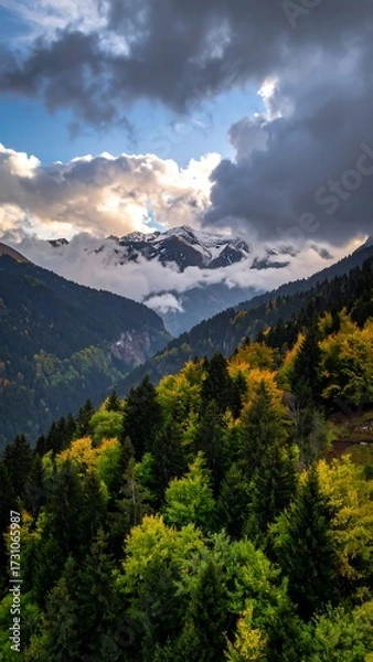 Obraz Mountain valley shrouded in clouds, autumnal forest hues