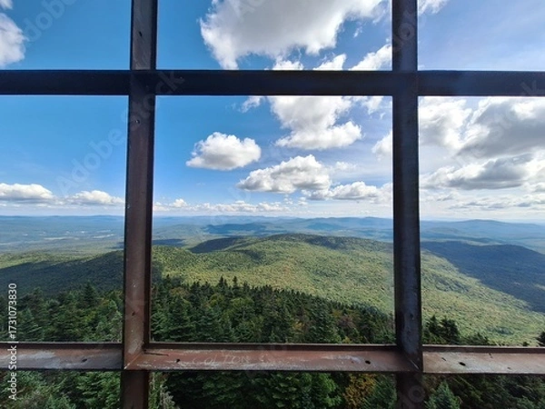 Obraz view from fire tower