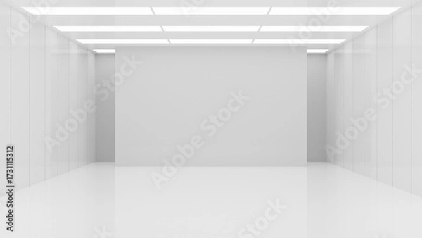 Fototapeta Modern Bright Empty Room 3D Interior Rendering with Natural Light