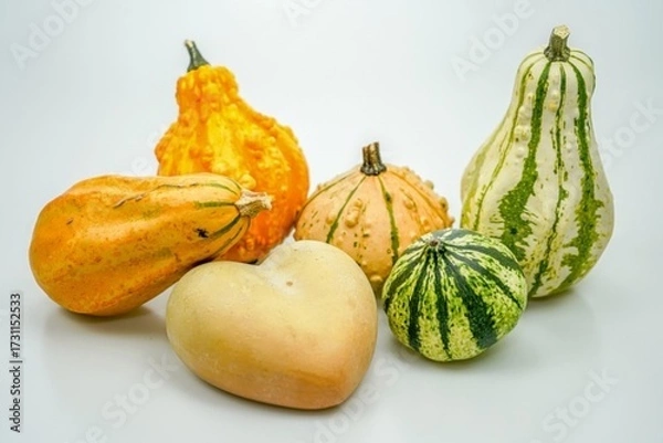 Obraz pumpkin and squash
