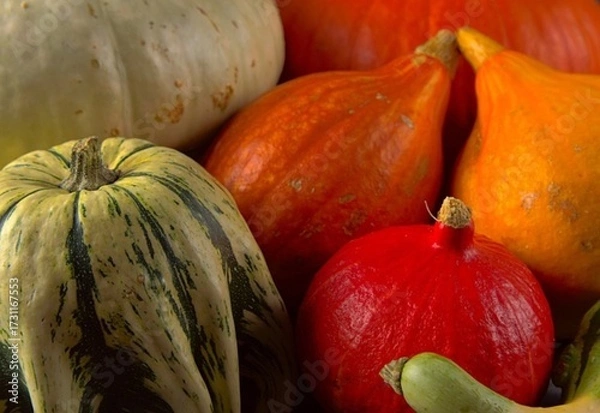 Obraz pumpkins and squash