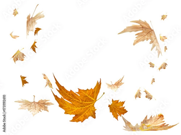 Fototapeta leaf leaves autumn falling - 3d rendering