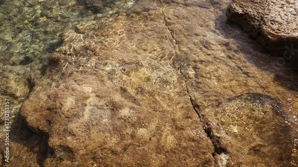 Fototapeta A close-up view of textured rocks submerged in clear water, showcasing natural patterns and reflections, highlighting the beauty of aquatic environments.