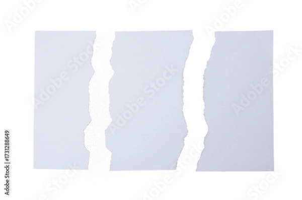 Fototapeta Set collection or collage of torn ripped white paper isolated on transparent background