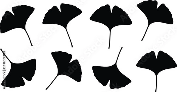 Fototapeta Ginkgo biloba leaf silhouettes, herbal plant vector, nature foliage design, botanical illustration, natural medicine element, eco artwork, organic decoration