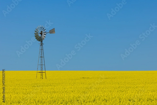 Fototapeta Windmill in flowering canola fields in the Wheatbelt of Western Australia