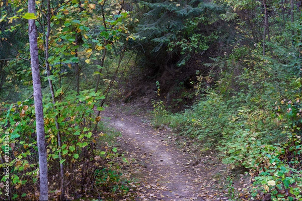 Obraz Callahan Creek Trail