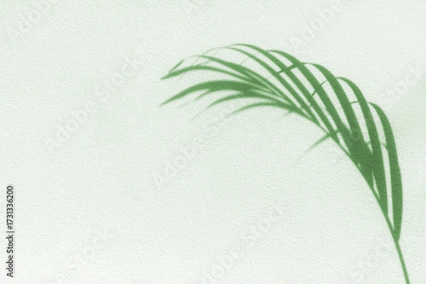 Fototapeta Palm tree leaf shadow on white textured wall background, tropical leaves silhouette on light surface, abstract plant branch decoration, floral pattern backdrop, foliage border, art summer nature frame