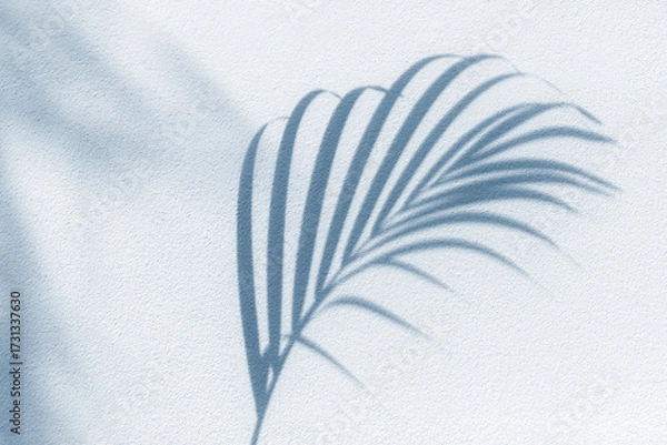 Fototapeta Palm tree leaf shadow on white textured wall background, tropical leaves silhouette on light surface, abstract plant branch decoration, floral pattern backdrop, foliage border, art summer nature frame