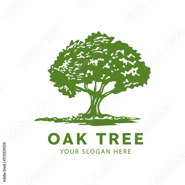 Fototapeta Vibrant oak tree logo design, root, water and soil vector