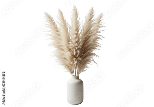 Fototapeta Tall bunch of dried pampas grass in a white vase isolated on transparent background