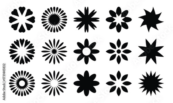 Fototapeta Diverse floral starburst silhouettes decorative elements collection for design projects
