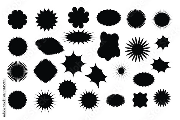 Fototapeta Diverse abstract shapes organic splatter grunge starburst elements collection
