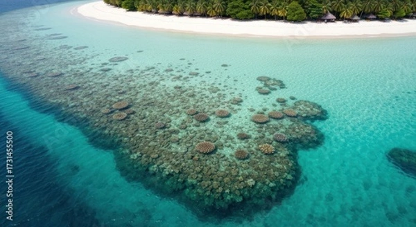 Fototapeta Aerial view of a coral reef, turquoise water, white beach