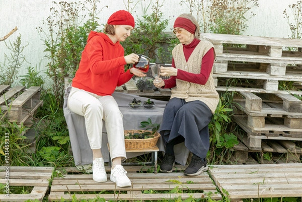 Fototapeta women drink chokeberry tea