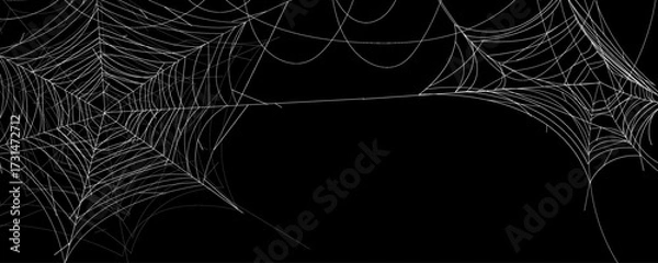 Fototapeta Spider web abstract Halloween background. Vector banner design